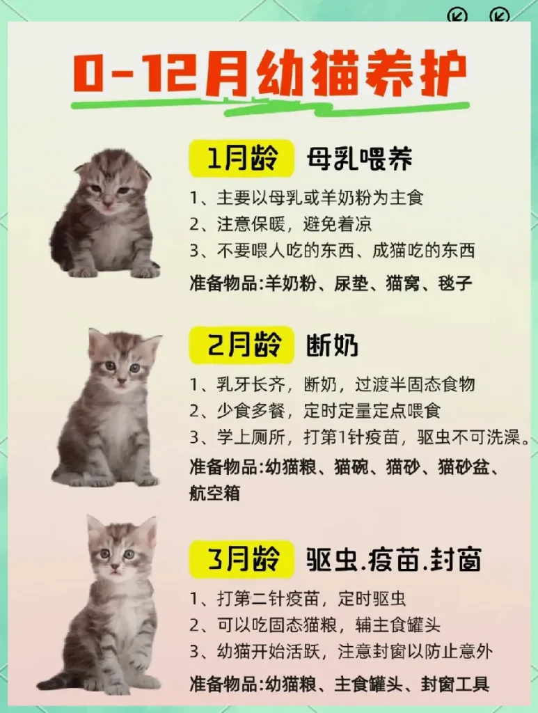 life-service 配图 3-3