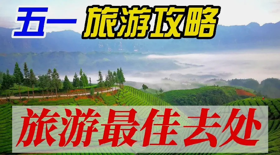 网址导航旅游户外导航配图4